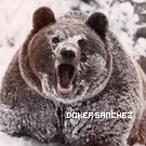 Doker_Sanchez