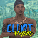 Elliot Vang