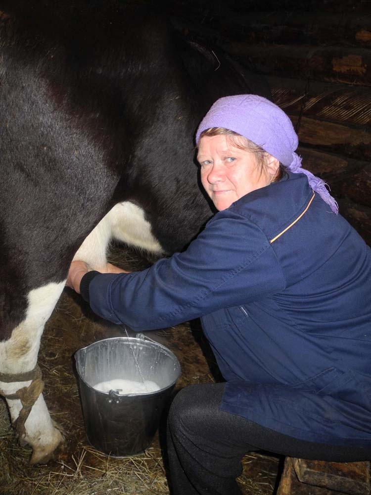 Заявление на пост лидера Виктории Тенорс