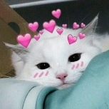 Alph 