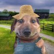 Joseph_Stoune