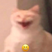 romakacaddy